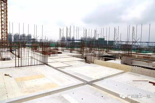 廣西建工一建來賓祥康苑項目質(zhì)量安全標準化施工圖集編制與應(yīng)用指南